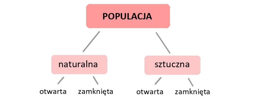 Populacja
