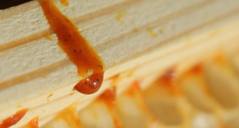 Propolis w ulu
