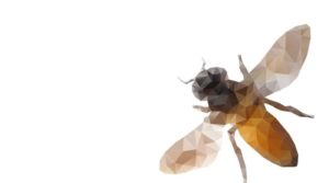 Pszczoła rasy Buckfast