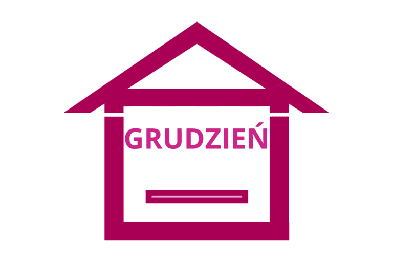 Grudzień w pasiece - prace pasieczne