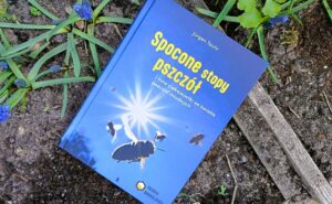 Recenzja książki Spocone stopy pszczół