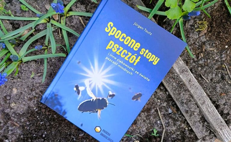 Recenzja książki Spocone stopy pszczół