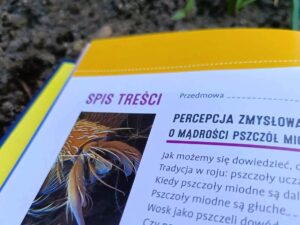 Recenzja książki Spocone stopy pszczół