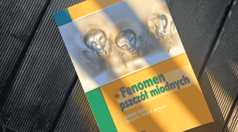Fenomen pszczół miodnych - recenzja